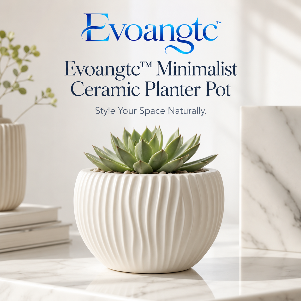 Evoangtc™ Minimalist Ceramic Planter Pot – Indoor Modern Flower Vase, Succulent & Herb Holder